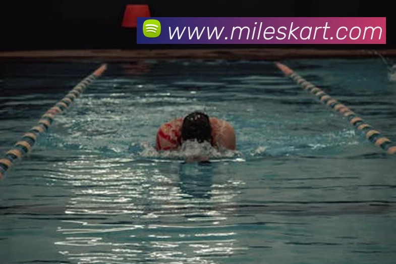 App Interface Preview